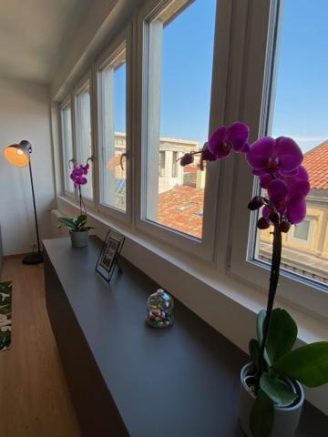 Mandi Mandi Cavour Apartment Удине Екстериор снимка